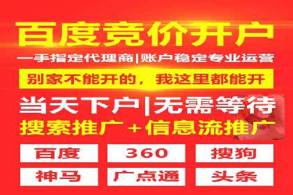 sem竞价托管代运营的实战技巧与案例